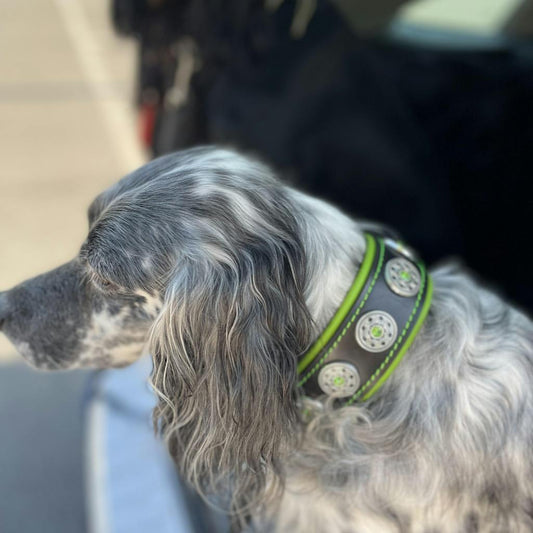 "Bijou" collar black & green