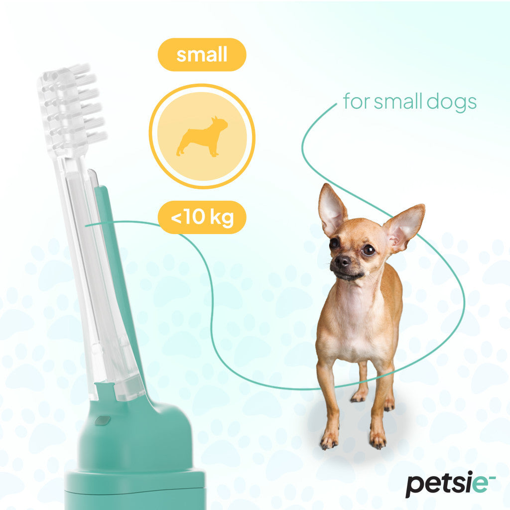 Petsie dog toothbrush (size S -10kg)